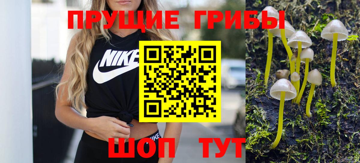 Владикавказ  Галлюциногенные грибы Cubensis  Вход с VPN 