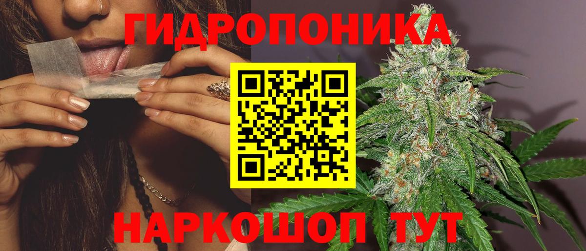 Конопля план Владикавказ